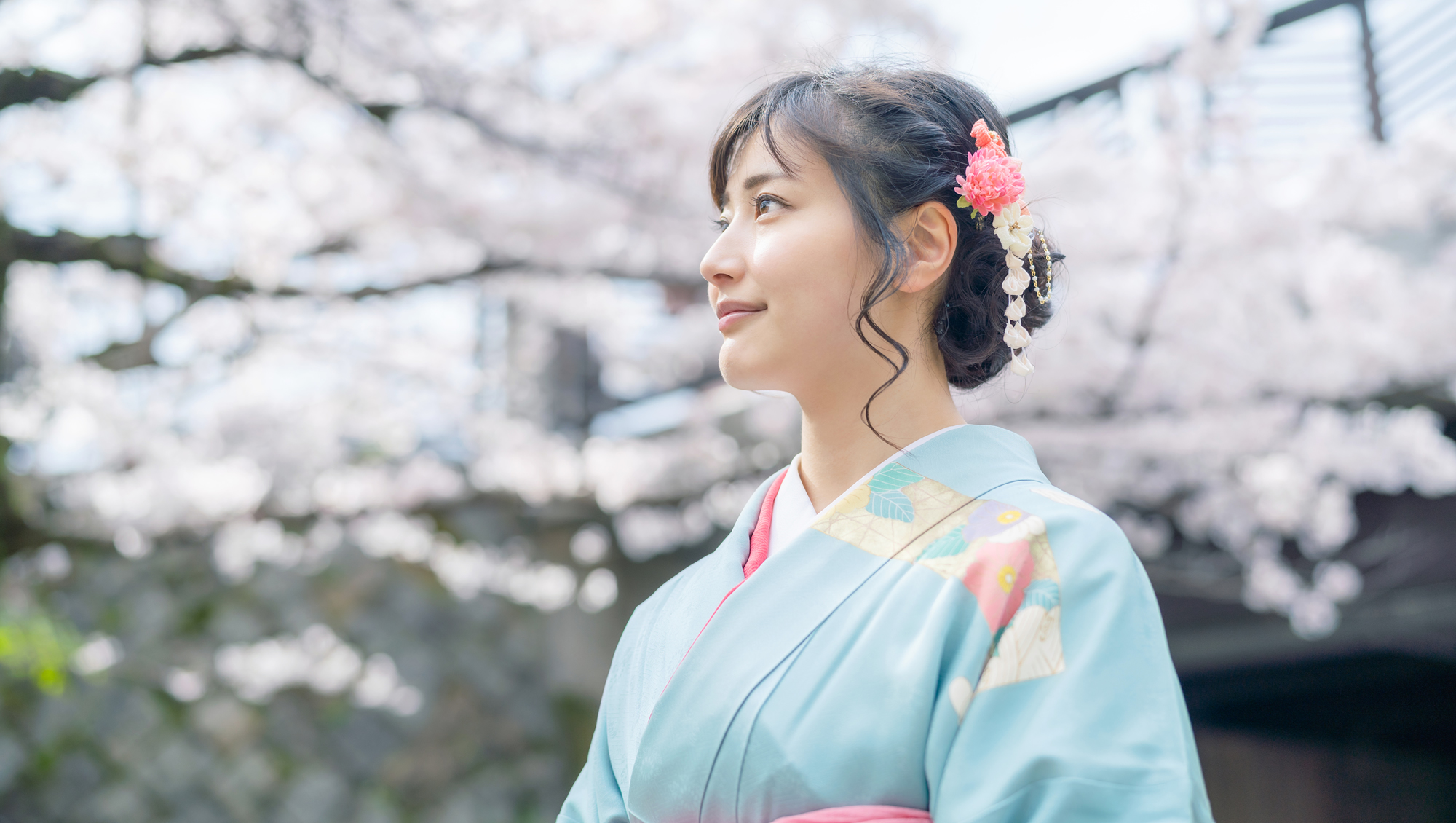 訪問型アンチエイジング・再生医療 「ヴィーナス京都」のWebサイトを公開しました